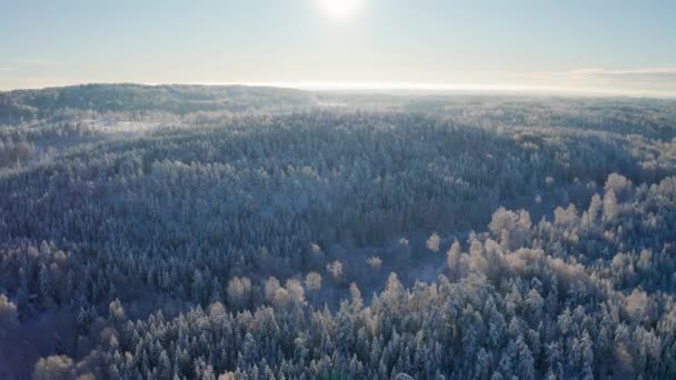 Vysoko v oblacích nad epické sníh zahrnuty lesa v chladné zimní krajina — Stock video