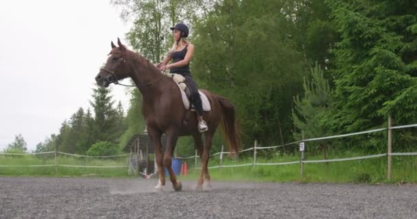 Giovane donna cavaliere sul suo cavallo arabo in fattoria — Video Stock