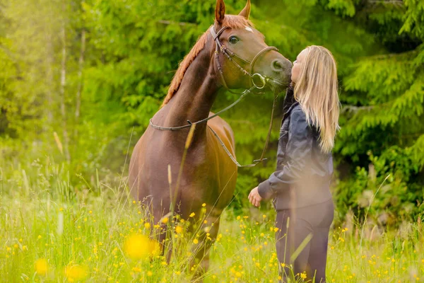 Mujer rubia de pie en un prado besando a su caballo árabe — Foto de Stock