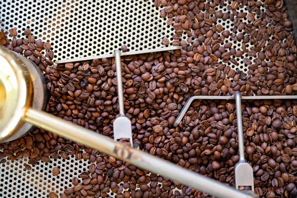 Vista superior de granos de café crudos en máquina de tostado — Foto de Stock