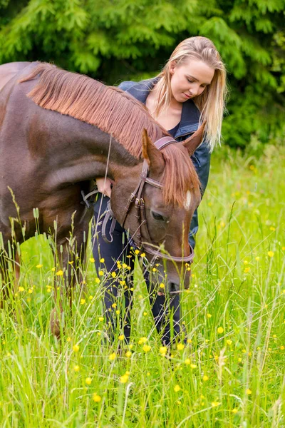 Caring woman feeding her arabian horse with snacks in the field — Stock Photo, Image