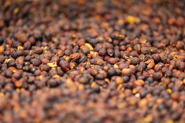 Close-up of Raw Coffee Beans Drying In Crate — Stock Photo, Image