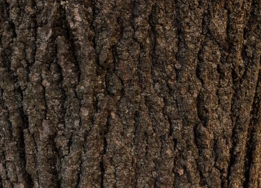 eski sıva açık gri renkli cam doku olduğunu