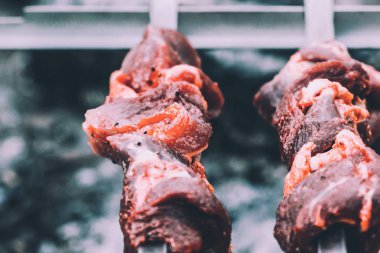 parkta ızgara üzerinde Barbekü tavuk but