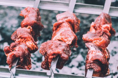 parkta ızgara üzerinde Barbekü tavuk but