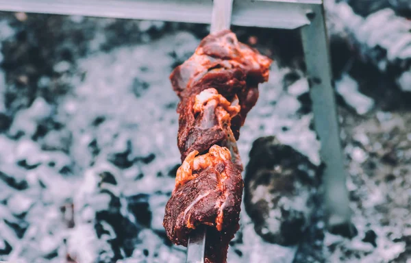 parkta ızgara üzerinde Barbekü tavuk but