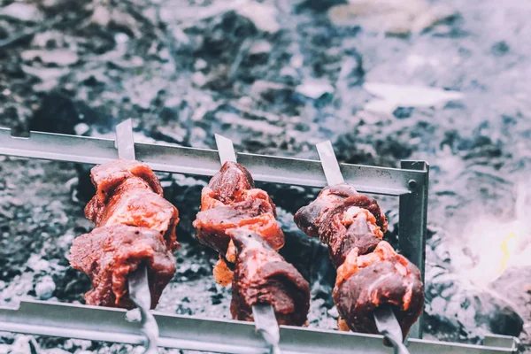 Barbacoas de pollo en la parrilla del parque — Foto de Stock