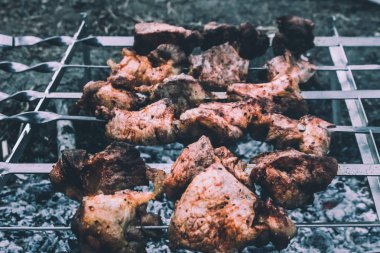 parkta ızgara üzerinde Barbekü tavuk but