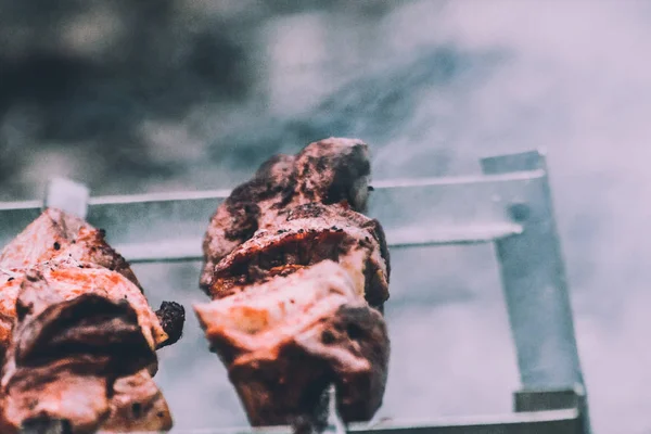 parkta ızgara üzerinde Barbekü tavuk but