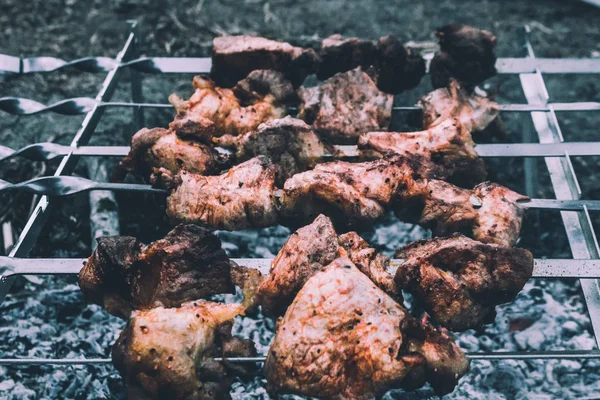 parkta ızgara üzerinde Barbekü tavuk but