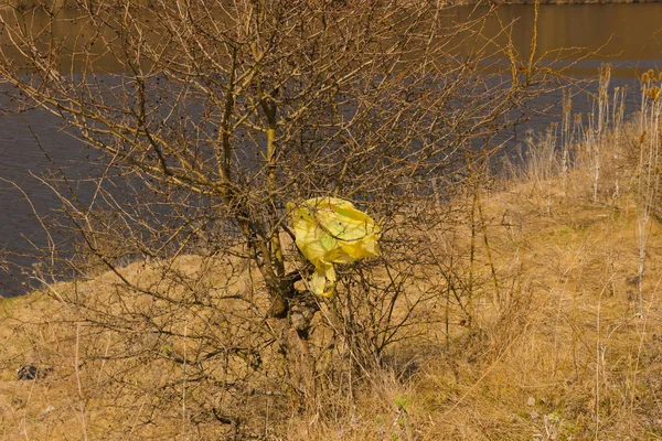 Çöp, atık, plastik atık, atık plastik şişe arka plan dokusu, çöp atık plastik kirliliği