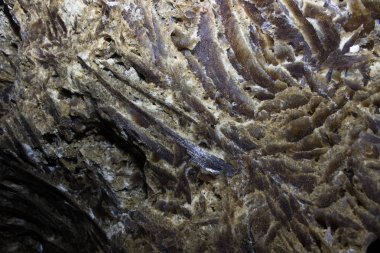 Mağara sarkıtlarının makro görünümü arka plan