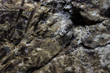 Mağara sarkıtlarının makro görünümü arka plan