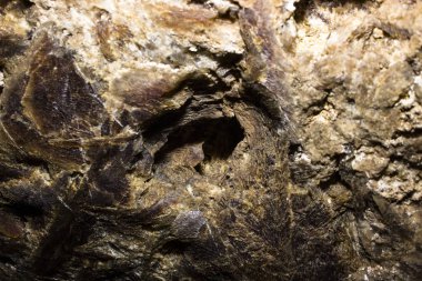 Mağara sarkıtlarının makro görünümü arka plan