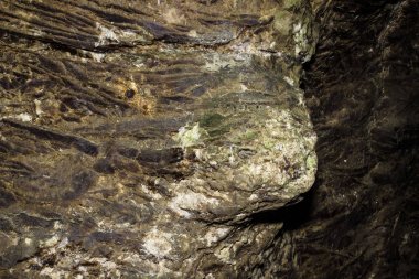 Mağara sarkıtlarının makro görünümü arka plan