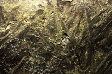 Mağara sarkıtlarının makro görünümü arka plan