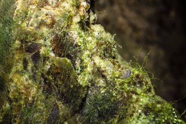 Mağara sarkıtlarının makro görünümü arka plan