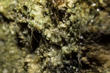 Mağara sarkıtlarının makro görünümü arka plan