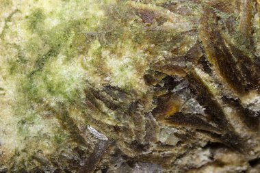 Mağara sarkıtlarının makro görünümü arka plan