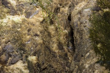 Mağara sarkıtlarının makro görünümü arka plan