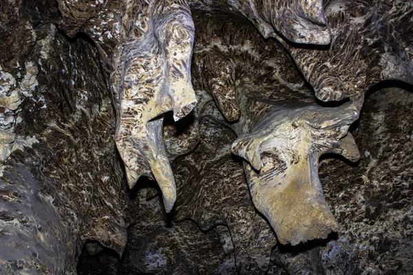 Macro view of cave stalactites background background — Stock Photo, Image