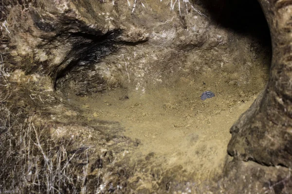 A barlangi cseppkövek háttérben futó nézete — Stock Fotó