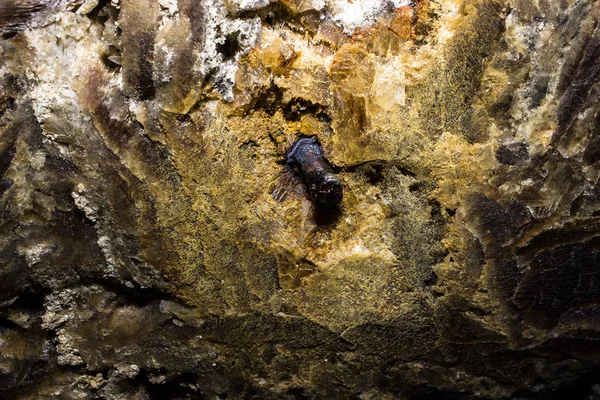 Zobrazení makra na pozadí jeskynních stalaktitů pozadí — Stock fotografie