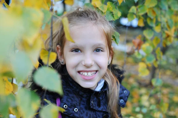 Retrato Uma Jovem Folhas Outono Vidoeiro Ela Está Feliz Sorrindo — Fotografia de Stock