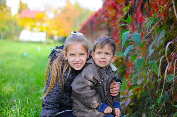 Schwester Und Bruder Gehen Herbstpark Spazieren Das Mädchen Umarmt Ihren — Stockfoto