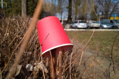 Kullanılmış kağıt bardak kahve çalıların üzerinde yatıyor. Birisi kahve içmiş ve doğaya bir bardak fırlatmış. Ekolojik kavram