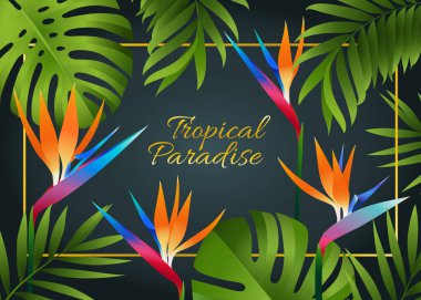 Ekzotik tropik palmiye yeşil yaprakları ve koyu arkaplanda renkli strelitzia çiçekleri olan vektör botanik tasarımı