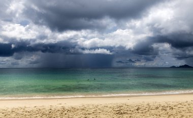 Cennet plaj Seyşeller / Anse Louis