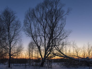Köyde kış gün batımı