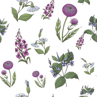 Kır çiçekleri, dikişsiz desen, vintage arka plan