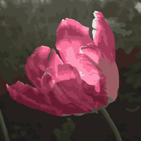 Tulipán Brillante Flor Rosa Ilustración Vectorial — Vector de stock