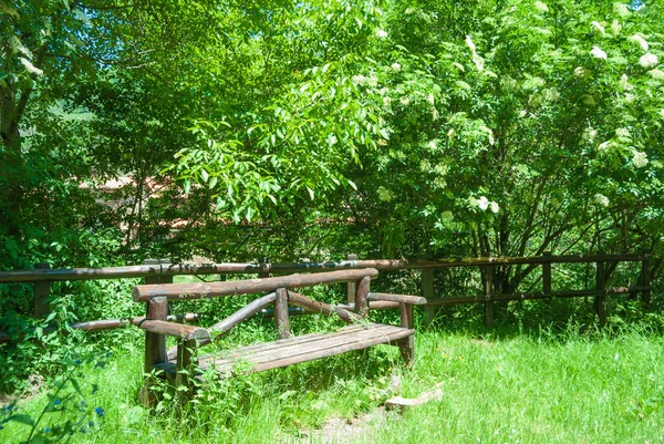 Uklidňující lavička do zeleného lesa — Stock fotografie
