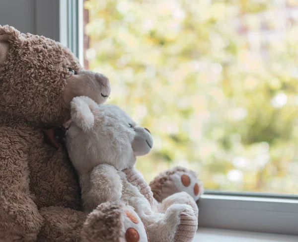 Two cuddled teddy bears hugging looking out a window