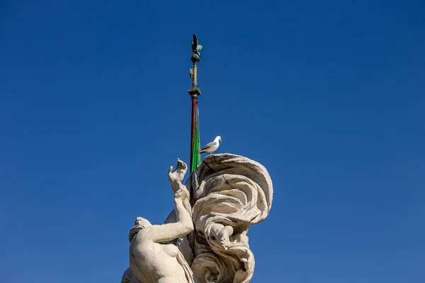 Rome Italy Seagulls Populate Rome Let Themselves Photographed While Perched — Stock Photo, Image