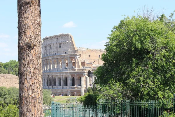 ローマのフォーラムは、古代ローマのフォーラムの散歩は、私たちは時間を旅することができます. — ストック写真