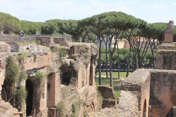 A római fórumok, egy séta az ókori római fórumon, utazásra késztet minket az időben.. — Stock Fotó