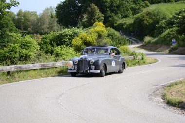 Pesaro Colle San Bartolo, İtalya - Mayıs 17-2018: Jaguar Mk Vii1951 eski yarış otomobil Rallisi'nde Mille Miglia 2018 ünlü İtalyan tarihi Formula (1927-1957)