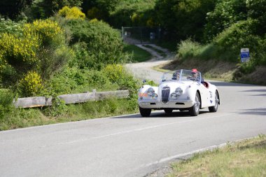 Pesaro Colle San Bartolo, İtalya - Mayıs 17-2018: Jaguar Xk 120 Ots1953 eski yarış otomobil Rallisi'nde Mille Miglia 2018 ünlü İtalyan tarihi Formula (1927-1957)