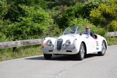 Pesaro Colle San Bartolo, İtalya - Mayıs 17-2018: Jaguar Xk 120 Ots1953 eski yarış otomobil Rallisi'nde Mille Miglia 2018 ünlü İtalyan tarihi Formula (1927-1957)