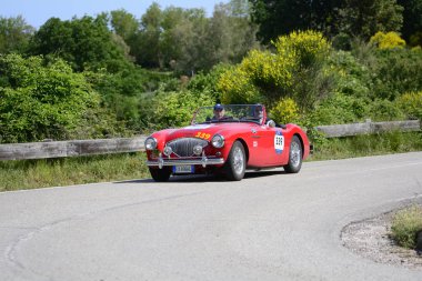 Pesaro Colle San Bartolo, İtalya - Mayıs 17-2018: Austin iyileşmek. 100/4 Bn11954 eski yarış otomobil Rallisi'nde Mille Miglia 2018 ünlü İtalyan tarihi Formula (1927-1957)