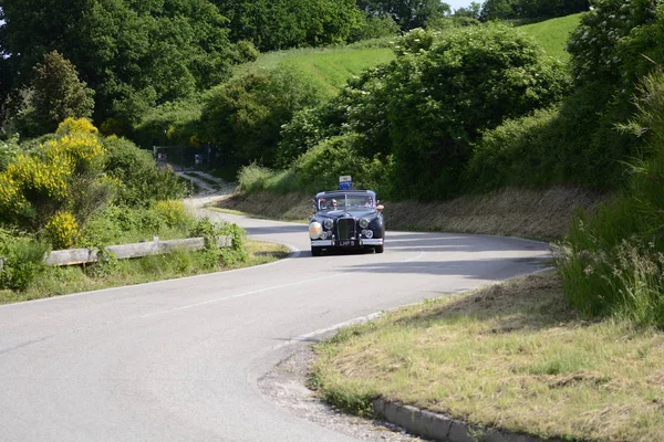 Pesaro Colle San Bartolo Italia Maggio 2018 Jaguar Vii1951 Vecchia — Foto Stock