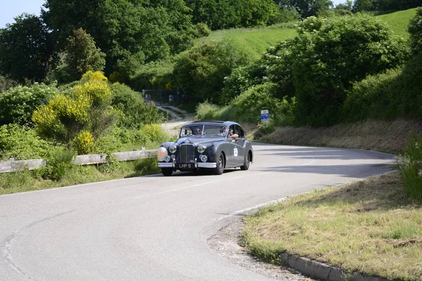 Pesaro Colle San Bartolo Italia Mayo 2018 Jaguar Vii1951 Viejo — Foto de Stock