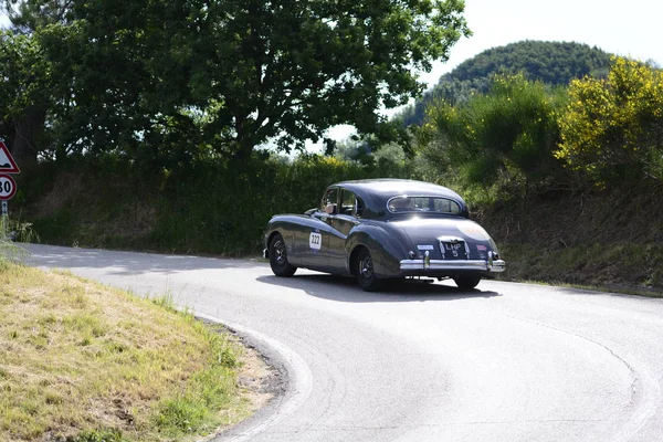 Pesaro Colle San Bartolo Italië Mei 2018 Jaguar Vii1951 Oude — Stockfoto