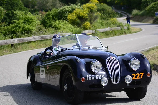 Pesaro Colle San Bartolo Italy 2018 Jaguar 140 Roadster1956 Старый — стоковое фото