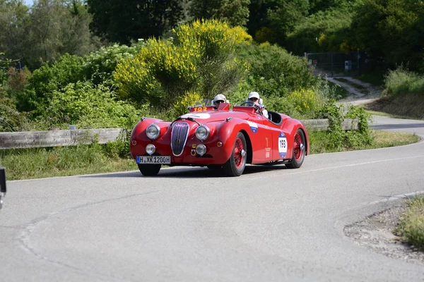 Pesaro Colle San Bartolo Itália Maio 2018 Jaguar 120 Ots1950 — Fotografia de Stock