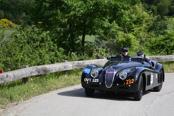 Pesaro Colle San Bartolo Italië Mei 2018 Jaguar 1201950 Oude — Stockfoto